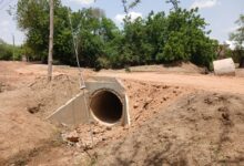 Constructed bridge for the people of Nyania and Babile