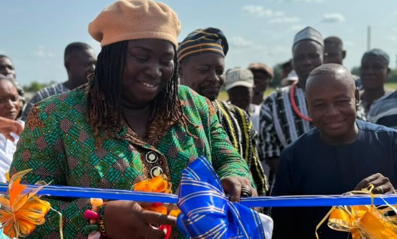 Faustina Abulu, MCE: Kassena-Nankana Municipal Assembly.